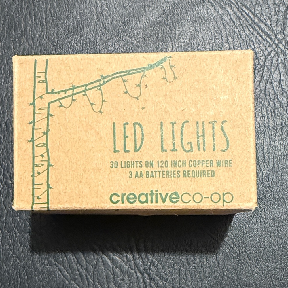 NWT Creative Co-Op Copper Wire LED String Lights